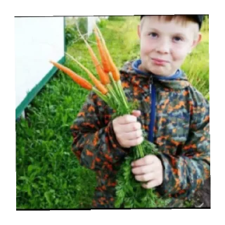 Стикер Сборище Гондонов #1 - 7