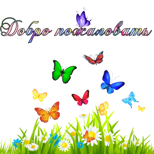 butterfly moths and butterflies flower