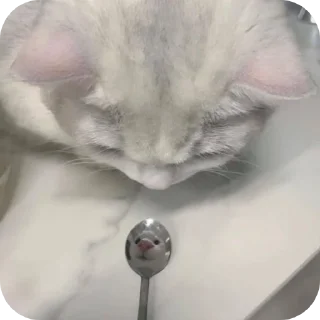 Sticker Сборник хуйни - 7