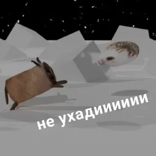 Sticker Больше стикеров: @sticerru - 8