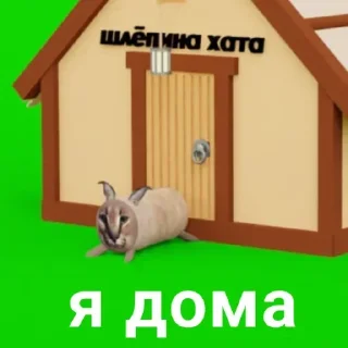 Sticker Больше стикеров: @sticerru - 5