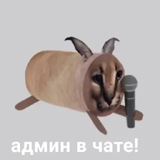 Sticker Больше стикеров: @sticerru - 7