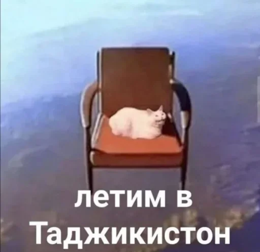 text chair furniture