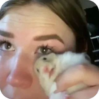 Стикер Счастье Дашулькинса🤓 - 4