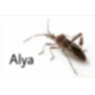 Стикер Счастье Дашулькинса🤓 - 10