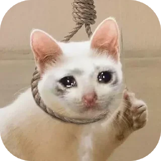 Sticker Schizo Club - 0