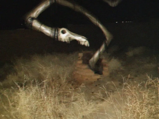 животное на открытом воздухе птица