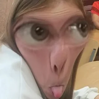 Sticker Школа 5 мемчаке 2 - 11