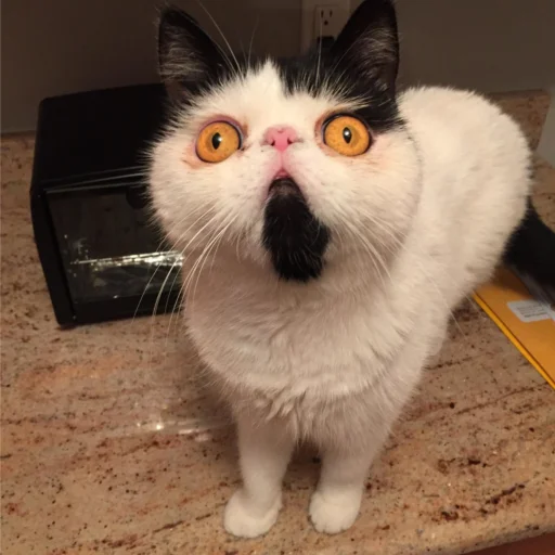 Sticker School_gavno_typoe77 - 1