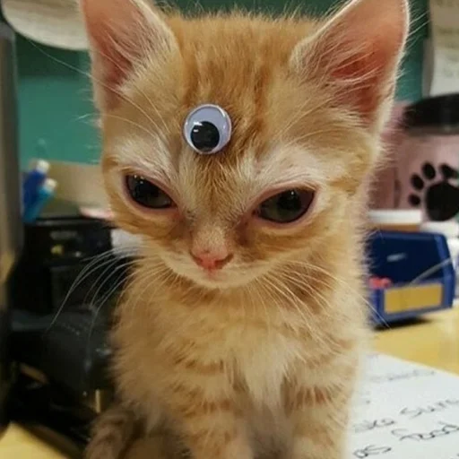 Sticker School_gavno_typoe77 - 1