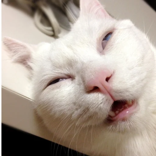 Sticker School_gavno_typoe77 - 1