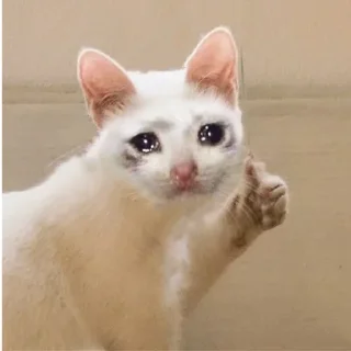 Sticker Мили-пак🎉🤯 - 7