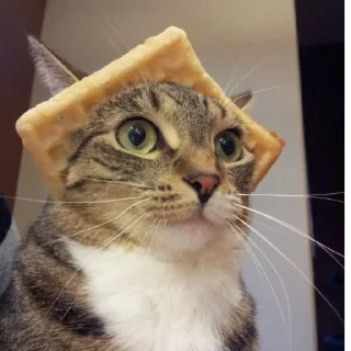 Sticker Мили-пак🎉🤯 - 3