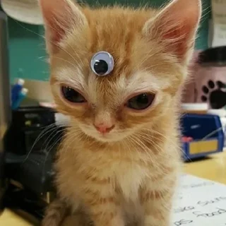 Sticker Мили-пак🎉🤯 - 10