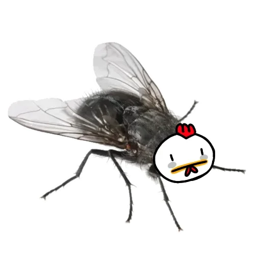 Стикер ScnaddE_by_achestickbot - 1