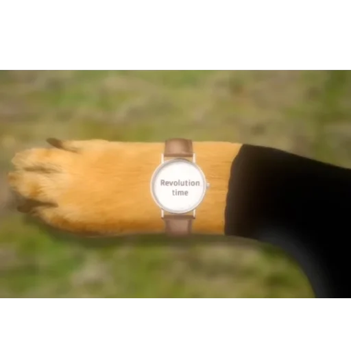 Sticker ScorpoPrikole2 - 1