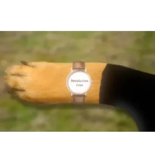 Sticker Scorpo prikole 2 - 7