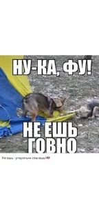 Стикер Шторм Z @Sticker_tg_robot - 4