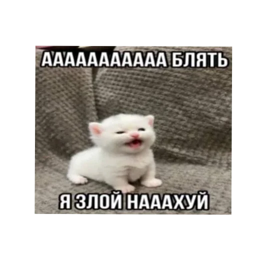 Sticker SdfKiIU3LK_by_Stikerhi_bot - 1