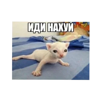 Sticker Хуй @Stikerhi_bot - 5