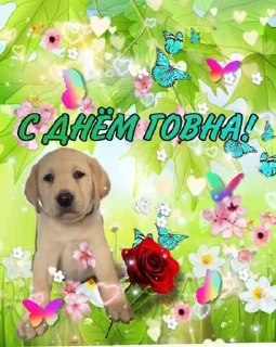 Sticker Я енотик полоскун @Tgthemstickbot - 2