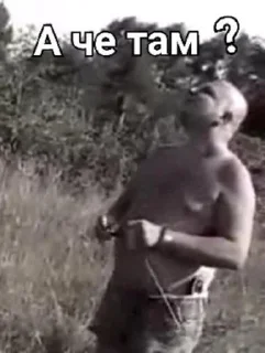 Стикер Голова @Temyrobot - 8