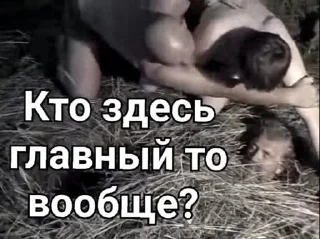 Стикер Голова @Temyrobot - 2