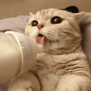 Стикер @Tohiy - 7