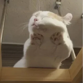 Стикер @Tohiy - 9