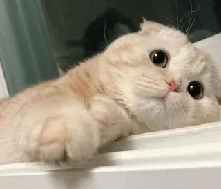 Стикер @Tohiy - 3