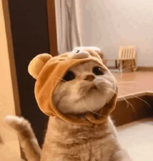 Стикер @Tohiy - 1