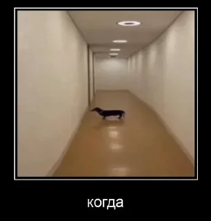 Стикер Больше стикеров 👉🏻 @stickertg4 - 0