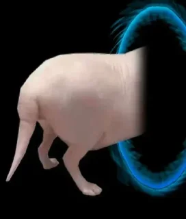 Стикер Больше стикеров 👉🏻 @stickertg4 - 3