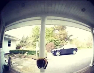 Стикер Больше стикеров 👉🏻 @stickertg4 - 10