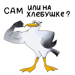 Стикер JEFF - 0