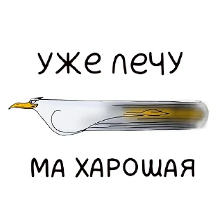 Стикер JEFF - 2