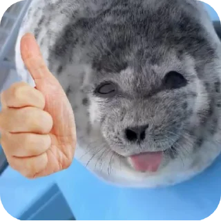 Стикер seals by @inteakiss ✮ - 11