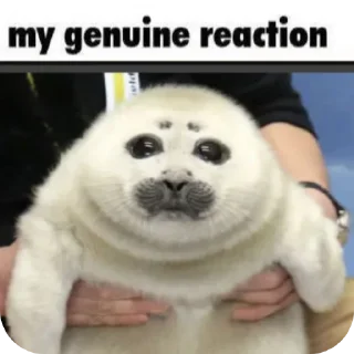 Стикер seals by @inteakiss ✮ - 10