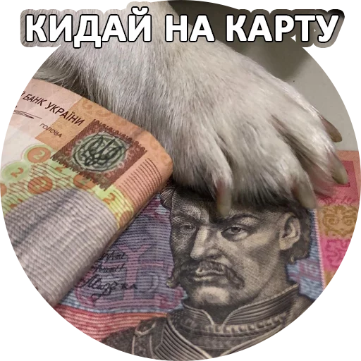 text human face money