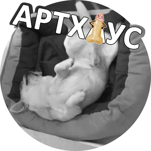 text birthday cake diaper