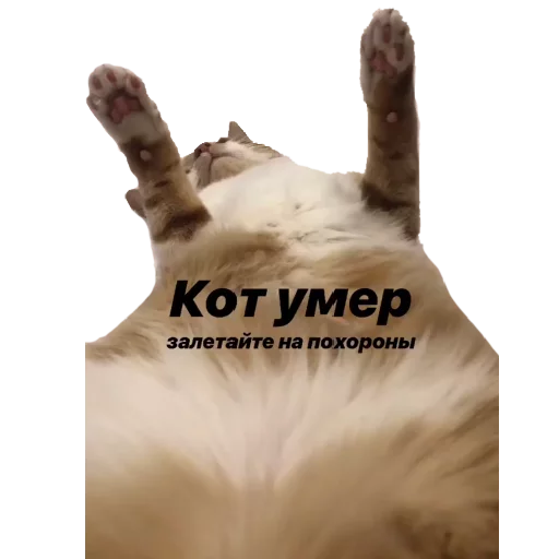 СМС аксессуар сумка