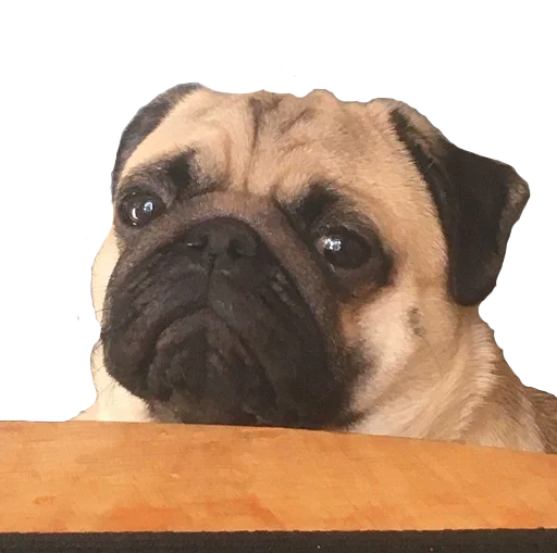 Стикер SecretPenisPack - 1