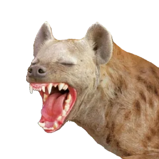 Sticker Secret Penis Pack - 11