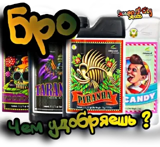 Sticker SwampOfCitySeeds - 8