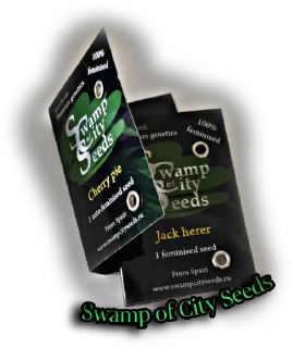 Sticker SwampOfCitySeeds - 3