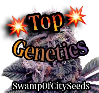 Sticker SwampOfCitySeeds - 4