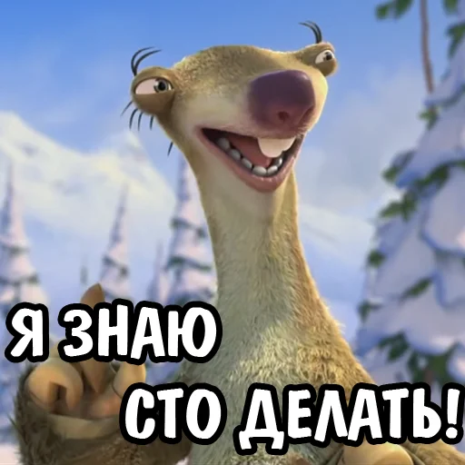 animal mammal outdoor