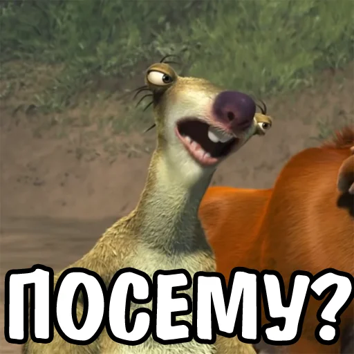 animal mammal outdoor