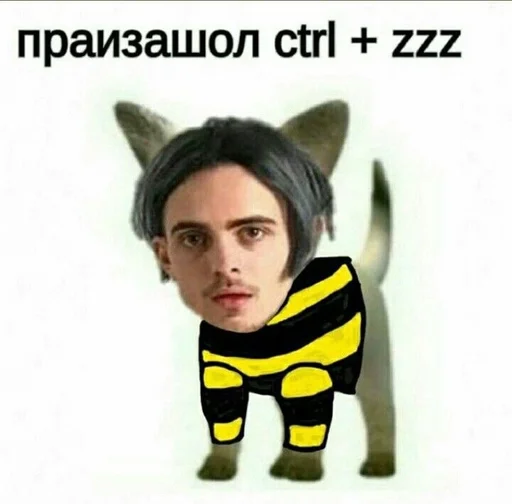 млекопитающее мультфильм человеческое лицо