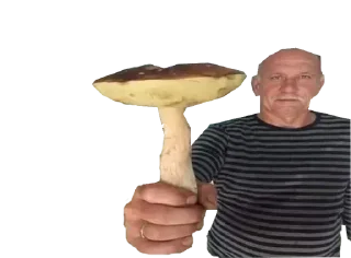 Sticker Больше стикеров 👉🏻 @stickertg4 - 11